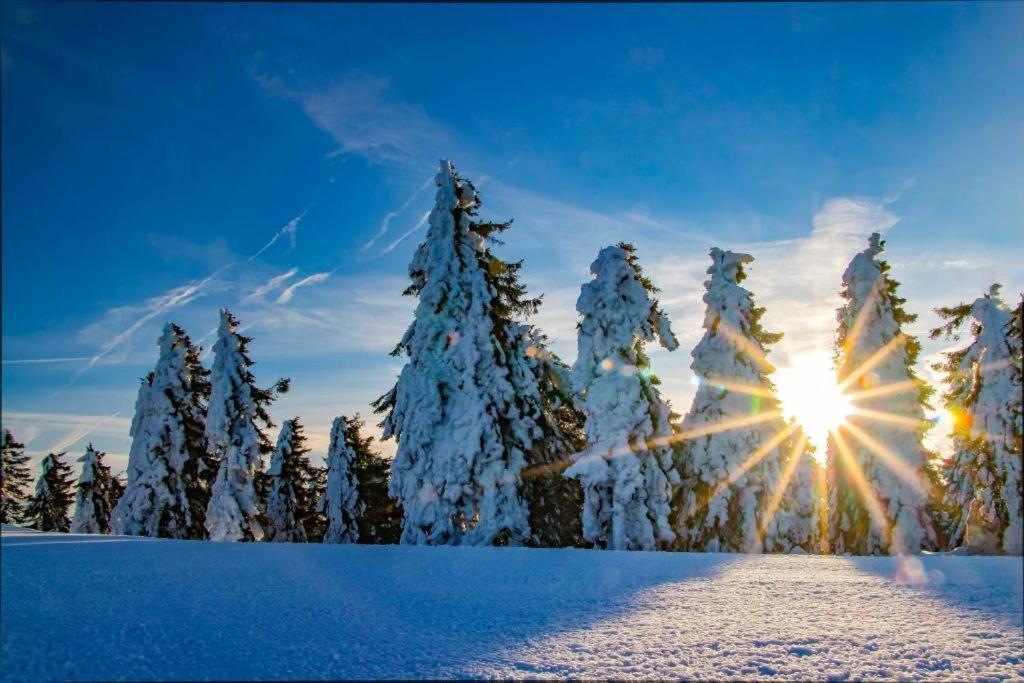 Meadows Apartments Klinovec Loučná pod Klínovcem エクステリア 写真