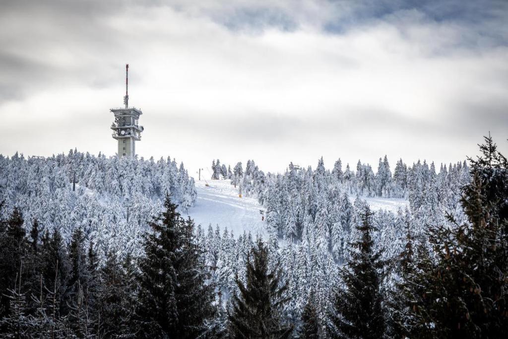 Meadows Apartments Klinovec Loučná pod Klínovcem エクステリア 写真